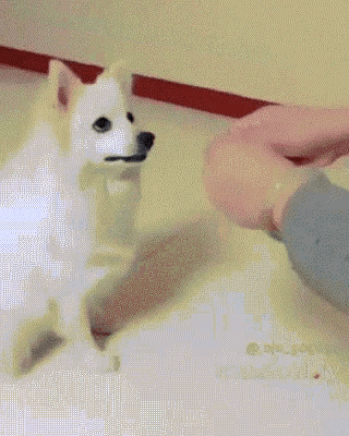 Funny Animals Dog Magic Hands GIF - Funny Animals Dog Magic Hands Trick Perro GIFs
