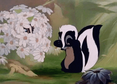 a skunk is peeking out from behind a bush of daisies in a cartoon .