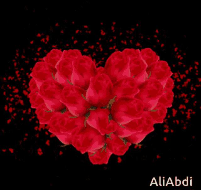 a heart shaped arrangement of red roses with the name aliabdi on the bottom