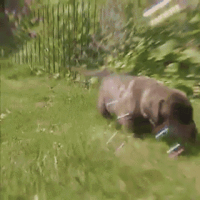 Puppies And Bubbles! GIF - Dogs Playing Bubbles GIFs