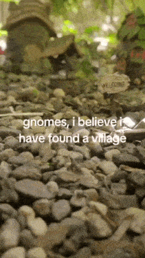 gnomes i believe i have found a village written on a rocky surface