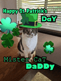 a cat wearing a green hat and shamrocks says happy st patrick 's day