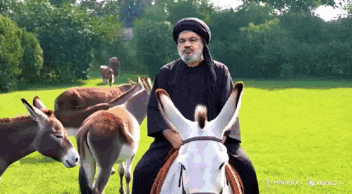 a man in a turban is riding a donkey in a grassy field