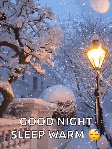 a picture of a snowy street with the words good night sleep warm