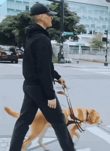 a man is walking a dog on a leash across a street