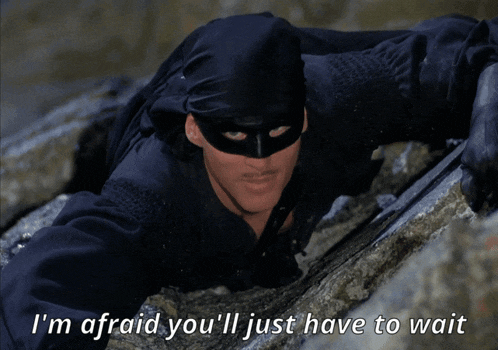 a man in a black mask with the words i 'm afraid you 'll just have to wait