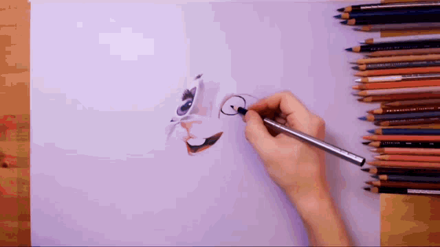 a person is drawing a cat with prismacolor colored pencils in the background