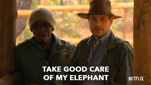 Take Good Care My Elephant GIF - Take Good Care My Elephant Take Care GIFs