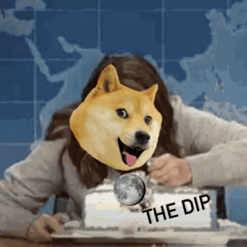 Doge Meme GIF - Doge Meme Coin GIFs