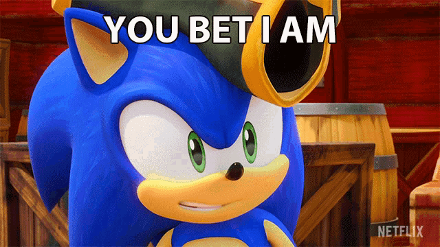 a picture of sonic the hedgehog with the words you bet i am on it