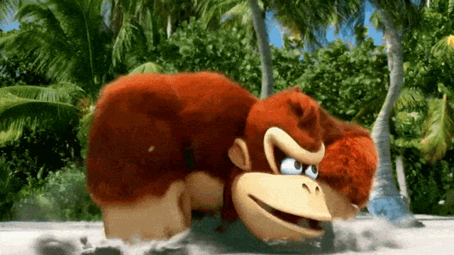 Donkey Kong Dixie Kong GIF - Donkey Kong Dixie Kong Nintendo GIFs