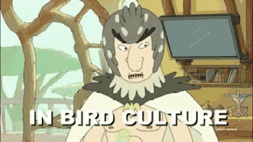 a cartoon of a man in a bird costume says " in bird culture "