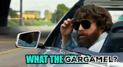 a man with a beard wearing sunglasses is driving a car and says what the gargamel
