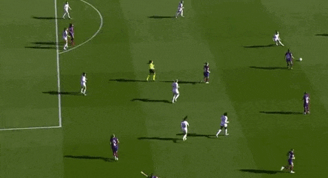 a group of soccer players are playing soccer on a field .