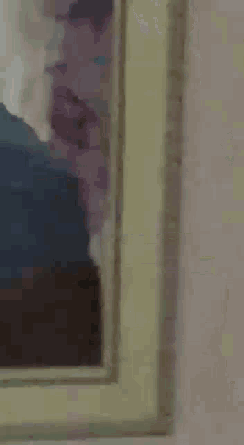 a woman is taking a selfie in front of a mirror .