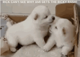 Dogs GIF