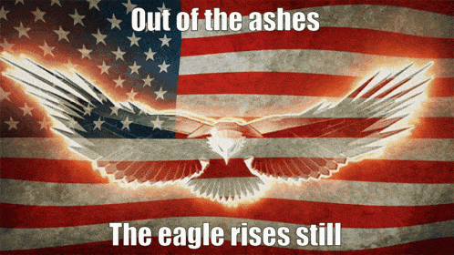 an american flag with an eagle and the words out of the ashes