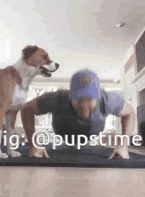 a man is doing push ups while a dog looks on ..