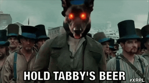 Tabby GIF