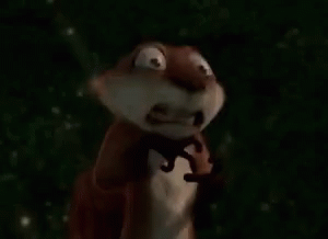 Over The Hedge Squirrel GIF - Over The Hedge Squirrel Hammy GIFs