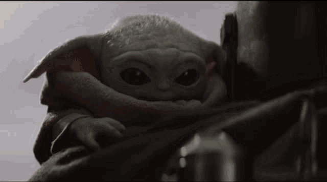 a close up of a baby yoda from star wars looking at the camera .