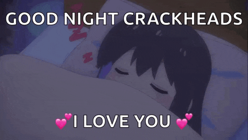 a picture of a girl sleeping with the words " good night crackheads i love you " below her
