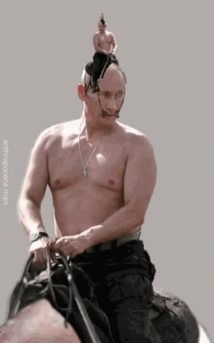 Putin Vladimir Putin GIF - Putin Vladimir Putin GIFs