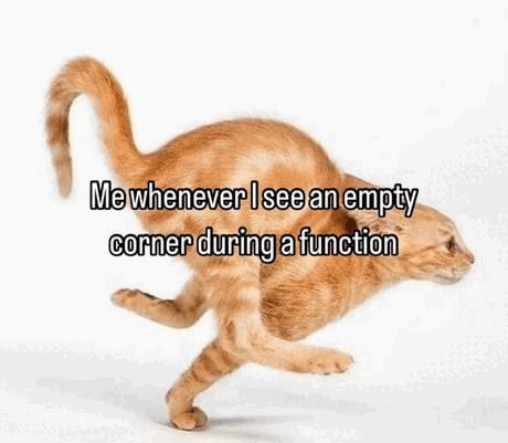 a cat is running with a caption that says `` me whenever i see an empty corner during a function ''