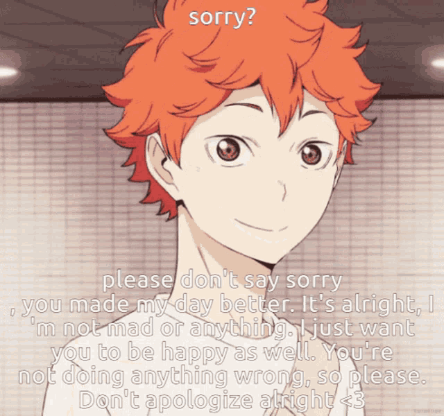 a picture of a boy with orange hair says sorry please don t say sorry you made my day better