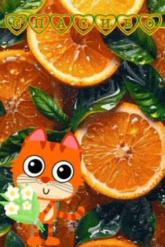 a cartoon cat is holding a bouquet of flowers in front of a bunch of oranges