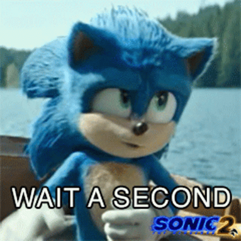 Wait A Second Sonic GIF - Wait A Second Sonic Sonic The Hedgehog2 GIFs