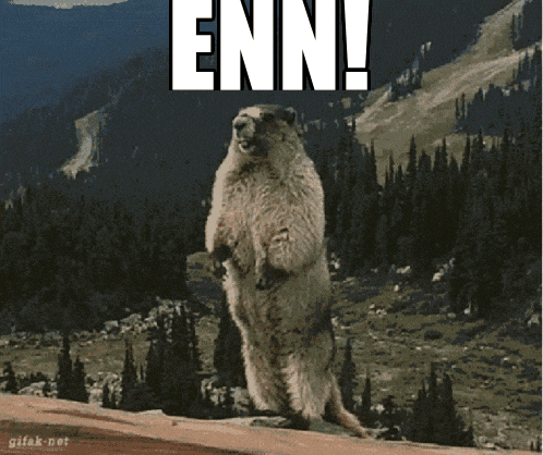 a ground squirrel standing on its hind legs with the words enn written above it