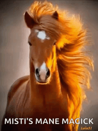Horse Mistis Mane Magick GIF - Horse Mistis Mane Magick GIFs