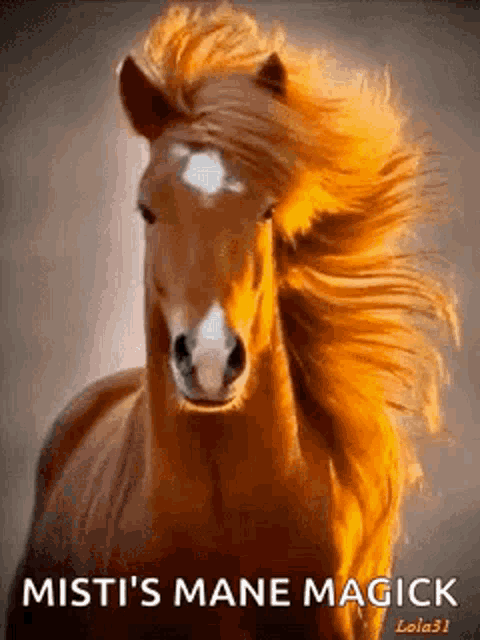 a brown horse with a long mane and the words `` mist 's mane magick '' written on it .
