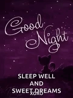 Good Night Sweet Dreams GIF - Good Night Sweet Dreams Starry GIFs