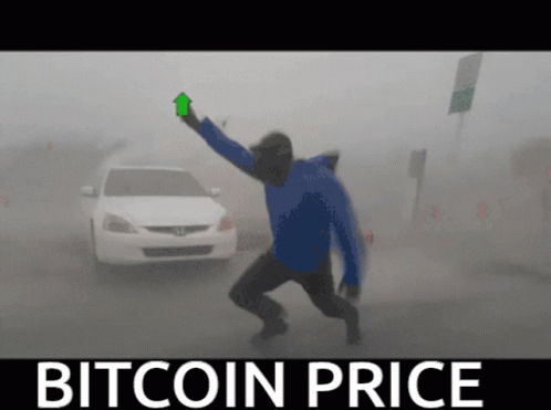 Bitcoin Price Dump GIF - Bitcoin Price Dump Hodl GIFs