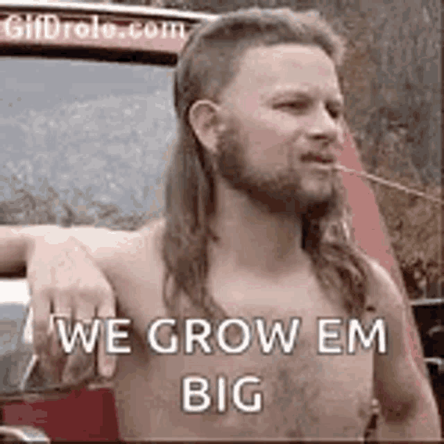 a shirtless man with a mullet and a beard is standing next to a red truck .