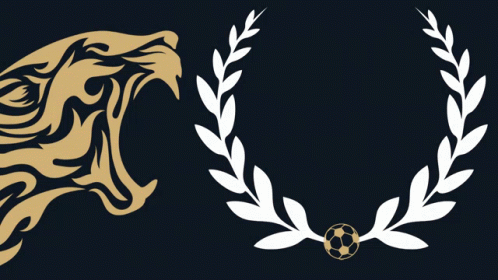 Iconssoccer GIF - Iconssoccer GIFs