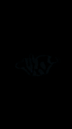 a black background with a blue light coming out of the middle
