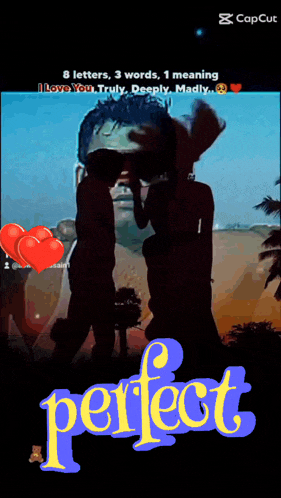 a picture of a man with sunglasses and the word perfect below him