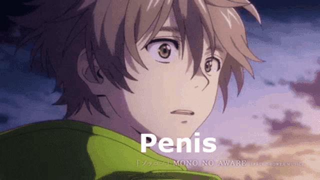 a close up of a boy 's face with the word penis in the corner