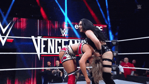 two women are wrestling in a wrestling ring with the word vengeance in the background