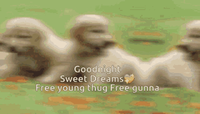 a bunch of puppies are laying in the grass with the words " goodnight sweet dreams free young thug free gunna "