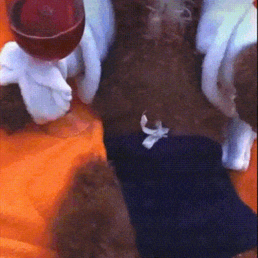 a close up of a stuffed animal laying on a bed with a bowl on top of it