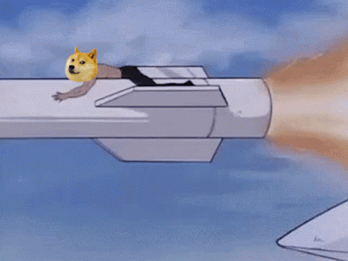 Doge Rocket Doge Flying GIF