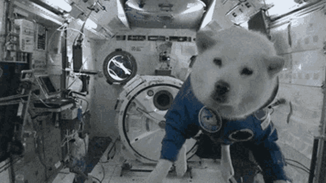 Space What GIF