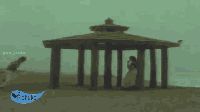 a man and woman are standing on a beach with a pichuka logo in the corner