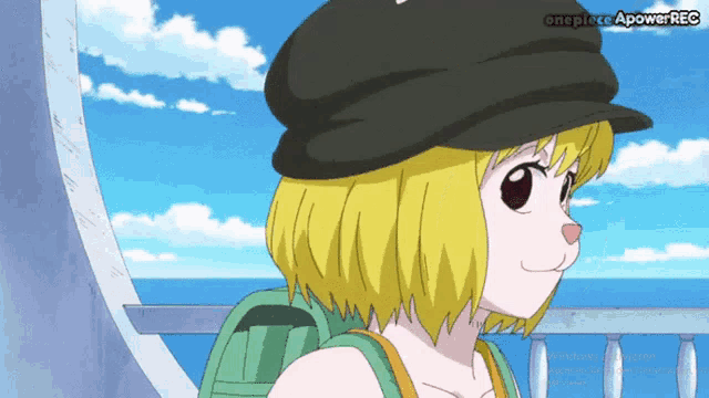 a cartoon of a girl wearing a hat with the words one piece apower rec on the bottom
