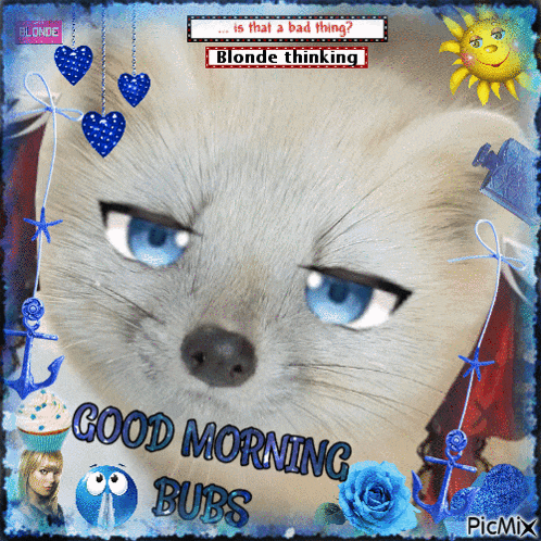 a picture of a dog with blue eyes and the words good morning bubs on the bottom