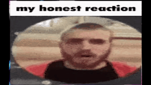 My Honest Reaction Meme GIF - My Honest Reaction Meme Vernam GIFs